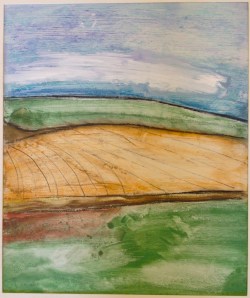 Landscapes.NorthwestWisconsin - Large Tilled Field